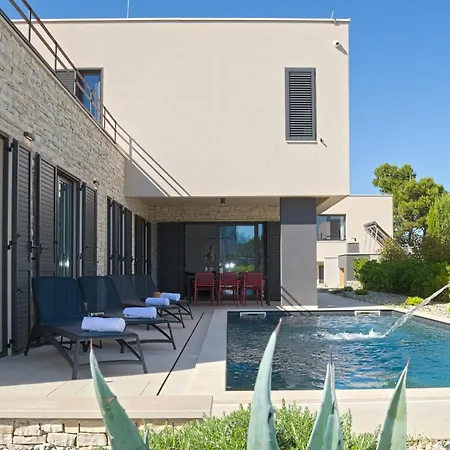 Salsola * زاتون