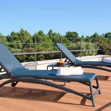 فيلة Salsola زاتون