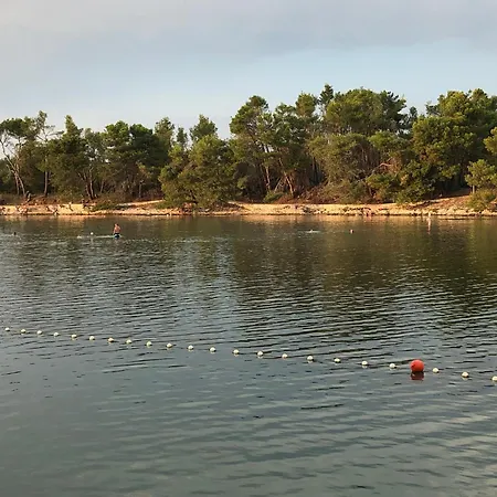 Salsola * Zaton (Zadar)
