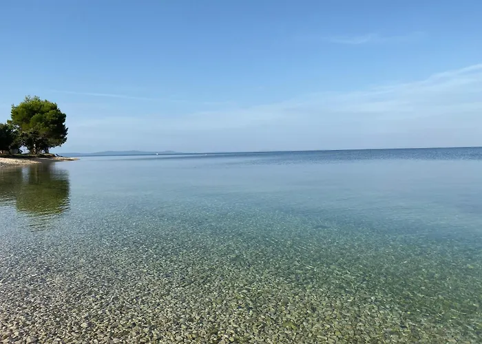 Salsola Zaton (Zadar)